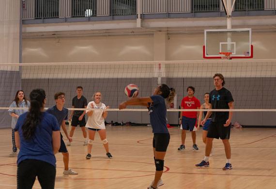 图为参加校内Volleyball比赛的学生.